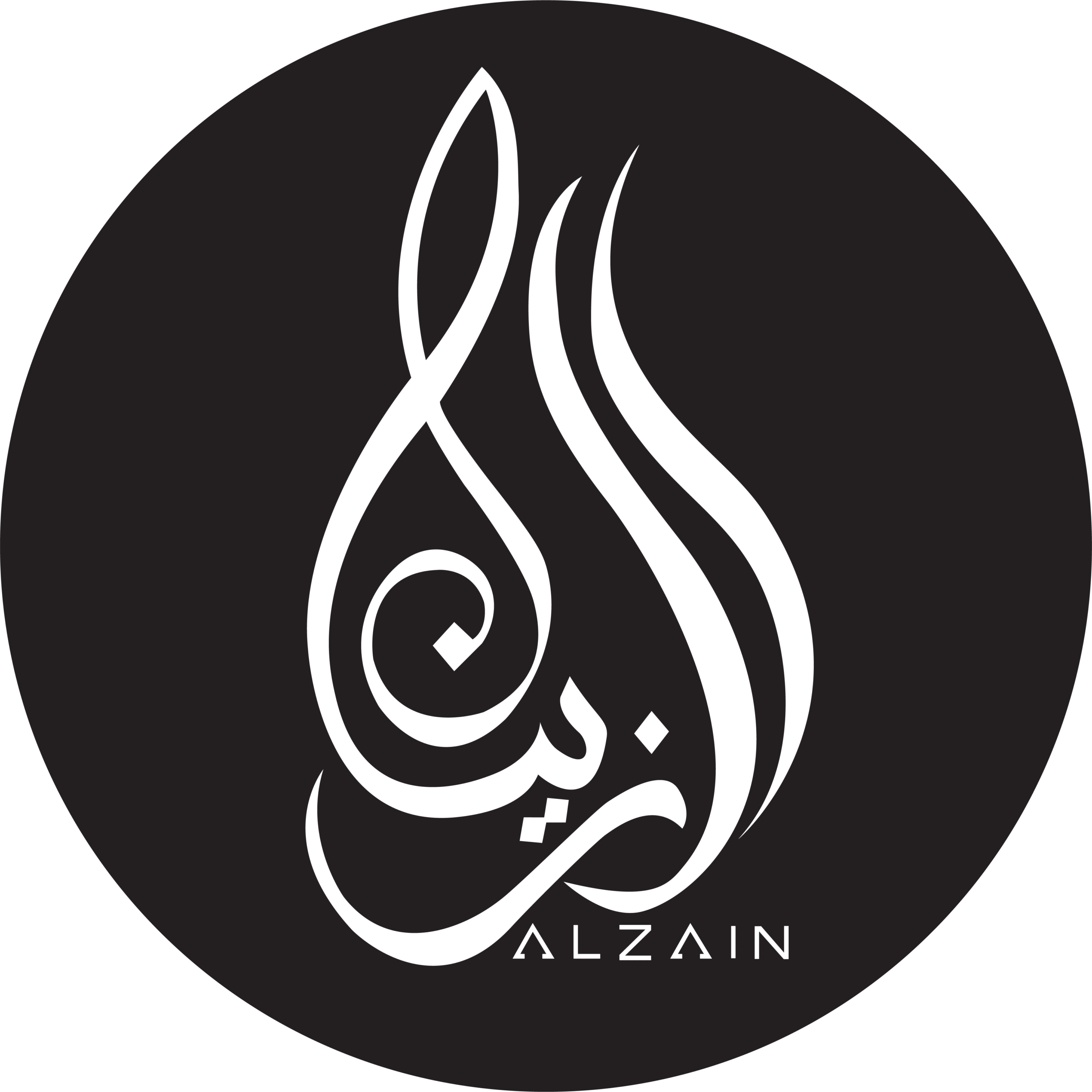 ALZAIN IMPORTS
